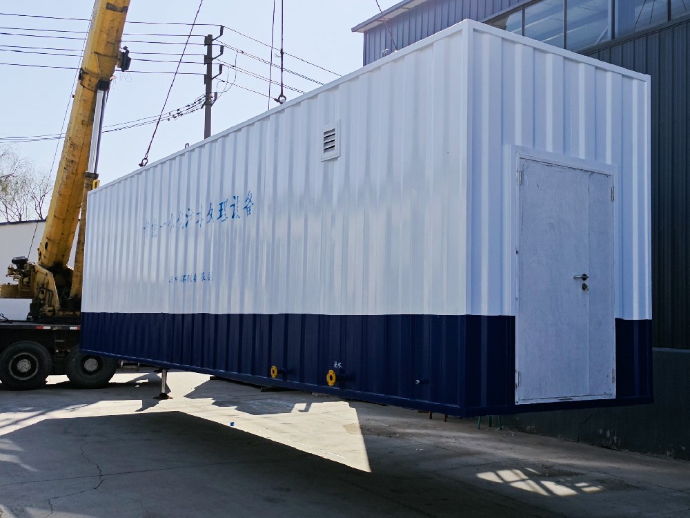 次氯酸鈉發(fā)生器在乳制品企業(yè)冰淇淋制作水消毒中的應用